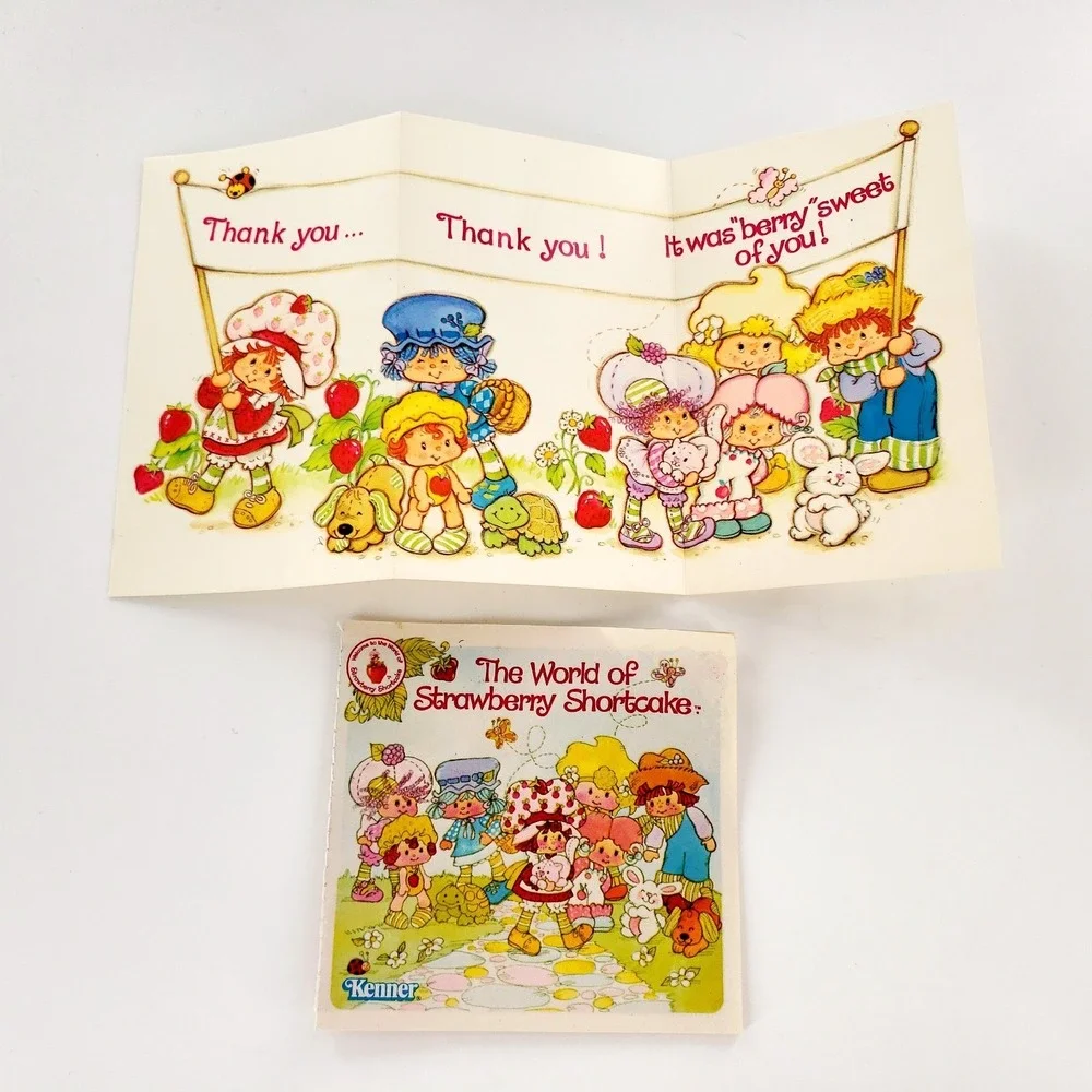 Vintage Strawberry Shortcake Doll w/ Custard 43020 Complete In Box Kenner